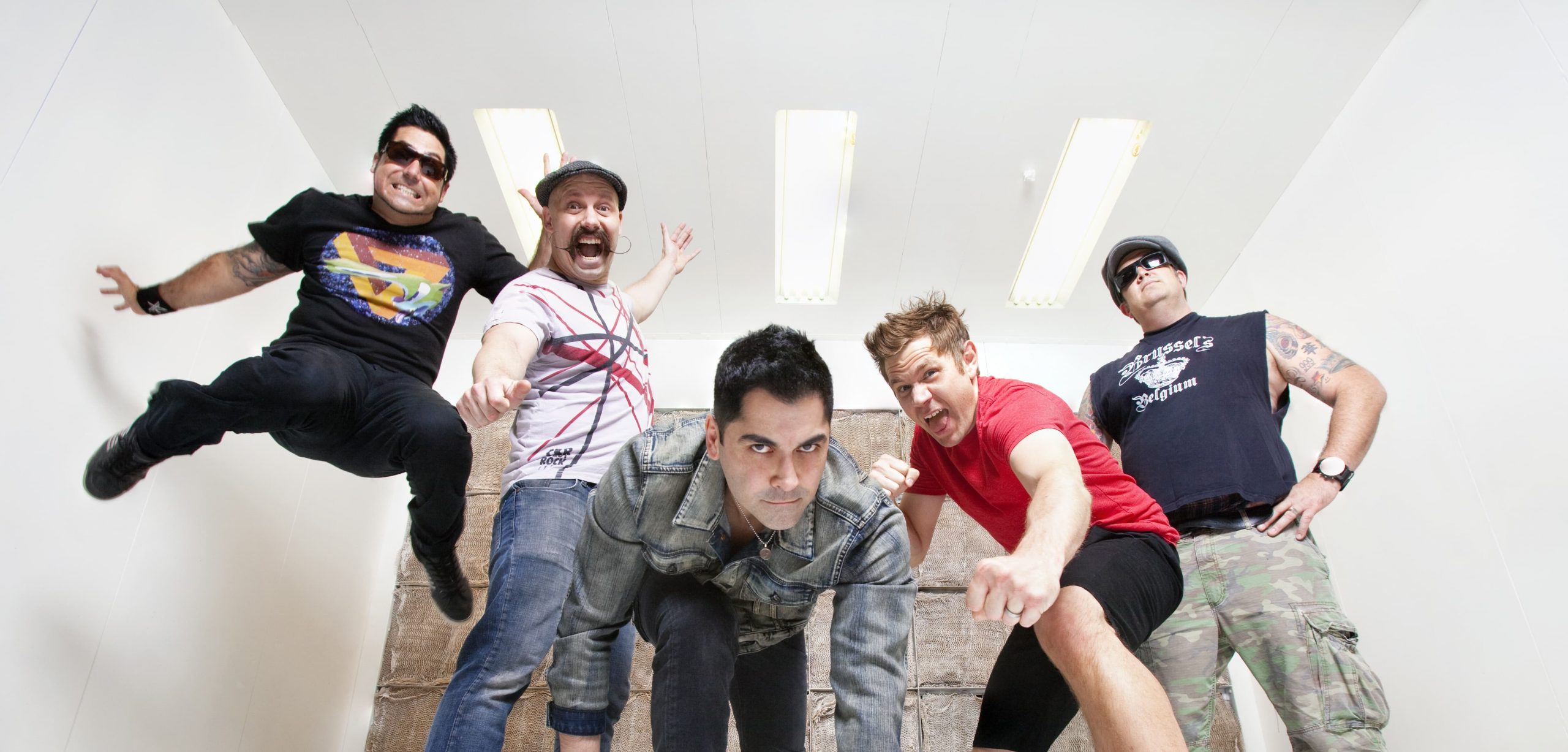 Zebrahead — группа, чья музыка нравится всем. Обзор.
